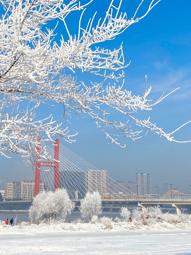 吉林，北国风光与文化交融的沃土