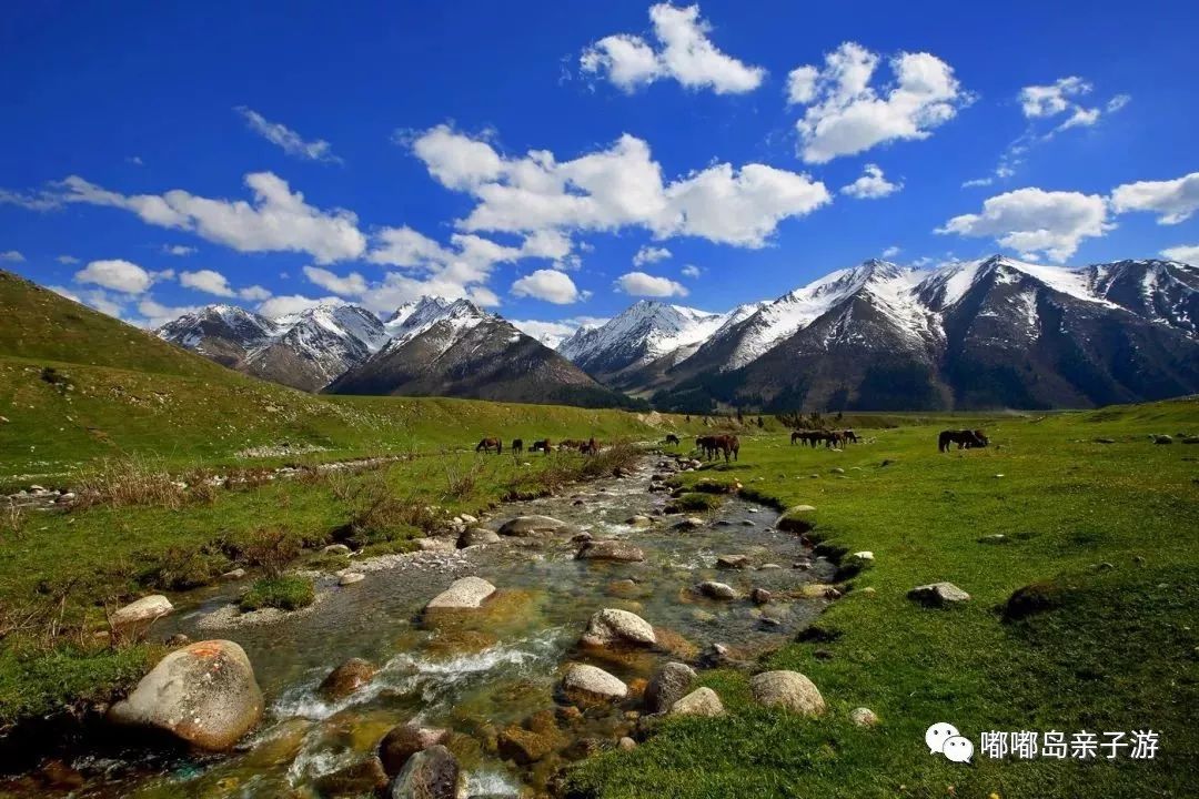 新疆之韵，探索独特文化与风情